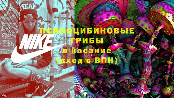 прущие грибы Армянск