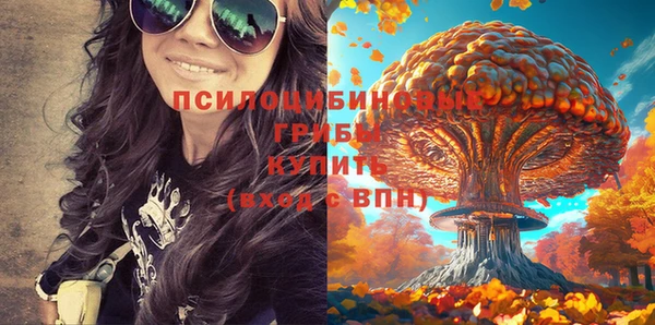 МДПВ Арсеньев