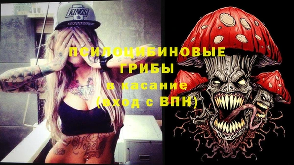 прущие грибы Армянск