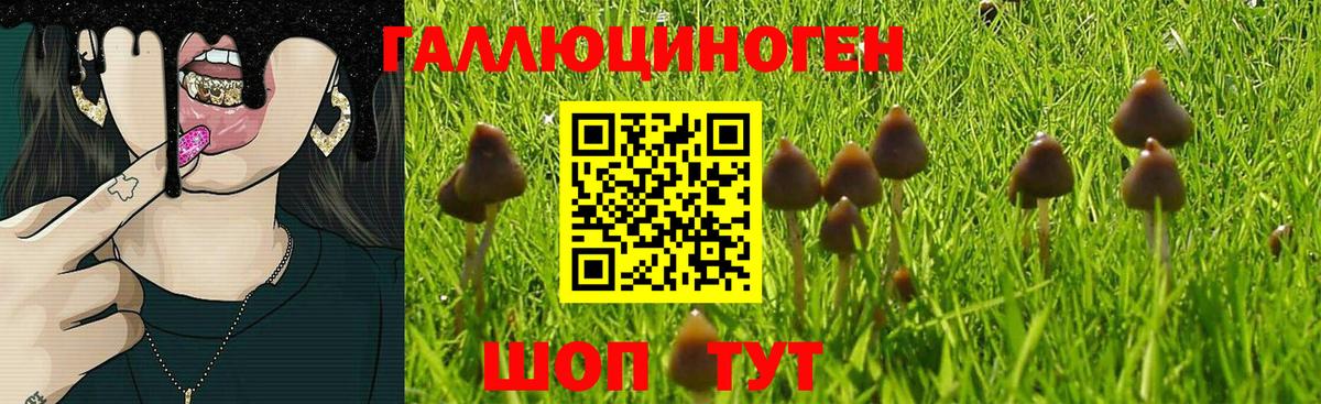 Галлюциногенные грибы Magic Shrooms  Псилоцибиновые грибы Cubensis  Белорецк 