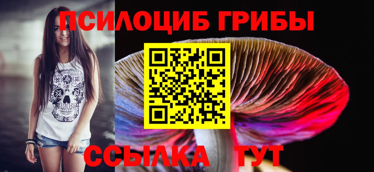 Галлюциногенные грибы Psilocybe Белорецк