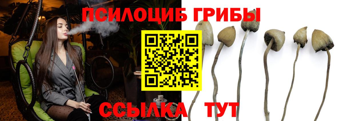 Галлюциногенные грибы Cubensis  Вход с VPN  Белорецк 